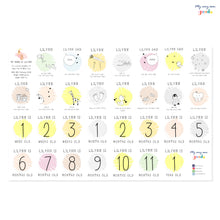 Load image into Gallery viewer, Baby Milestone Cards (Pastel)